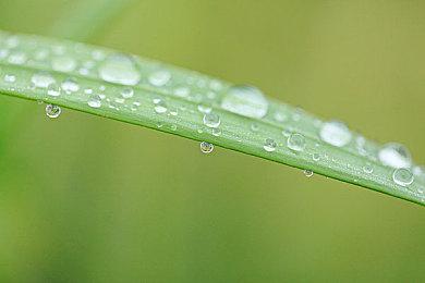 宝可梦相关产品在2021年销售额近570亿元